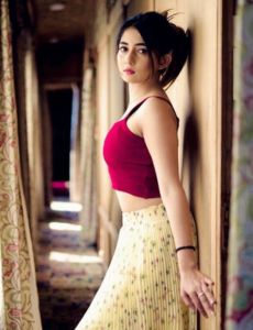 escort service in Phillaur