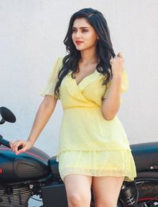 Phillaur call girls